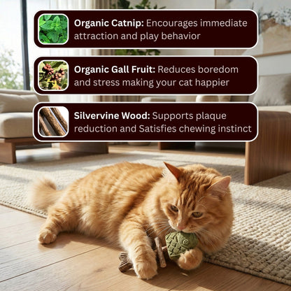 💝 TODAY ONLY — 50% OFF 💝Catnip & Silvervine Chew